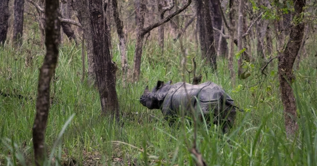 Nepal After  Rain, Nepal post-monsoon